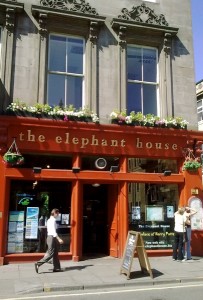 the_elephant_house1
